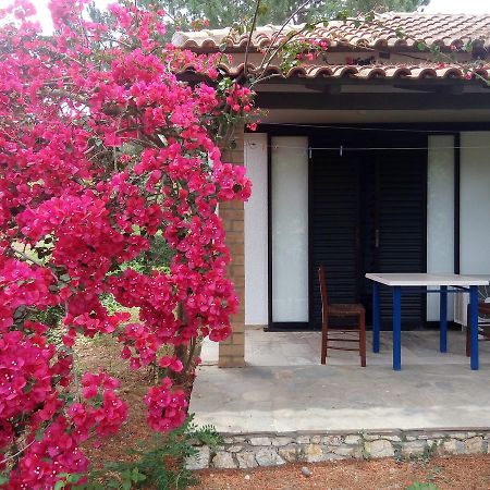 Hotel Dougas Αρκούδι Εξωτερικό φωτογραφία
