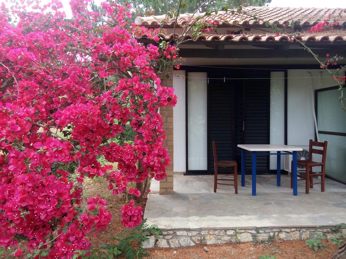Hotel Dougas Αρκούδι Εξωτερικό φωτογραφία